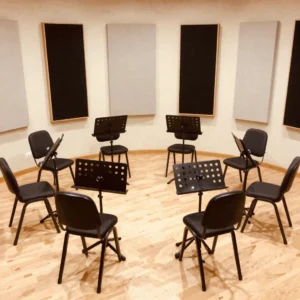 Accessible Ensemble Guided Session